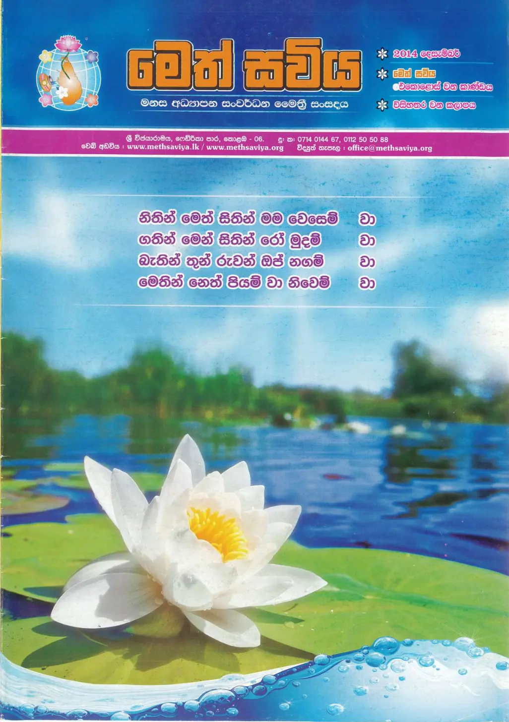24. magazive-cover