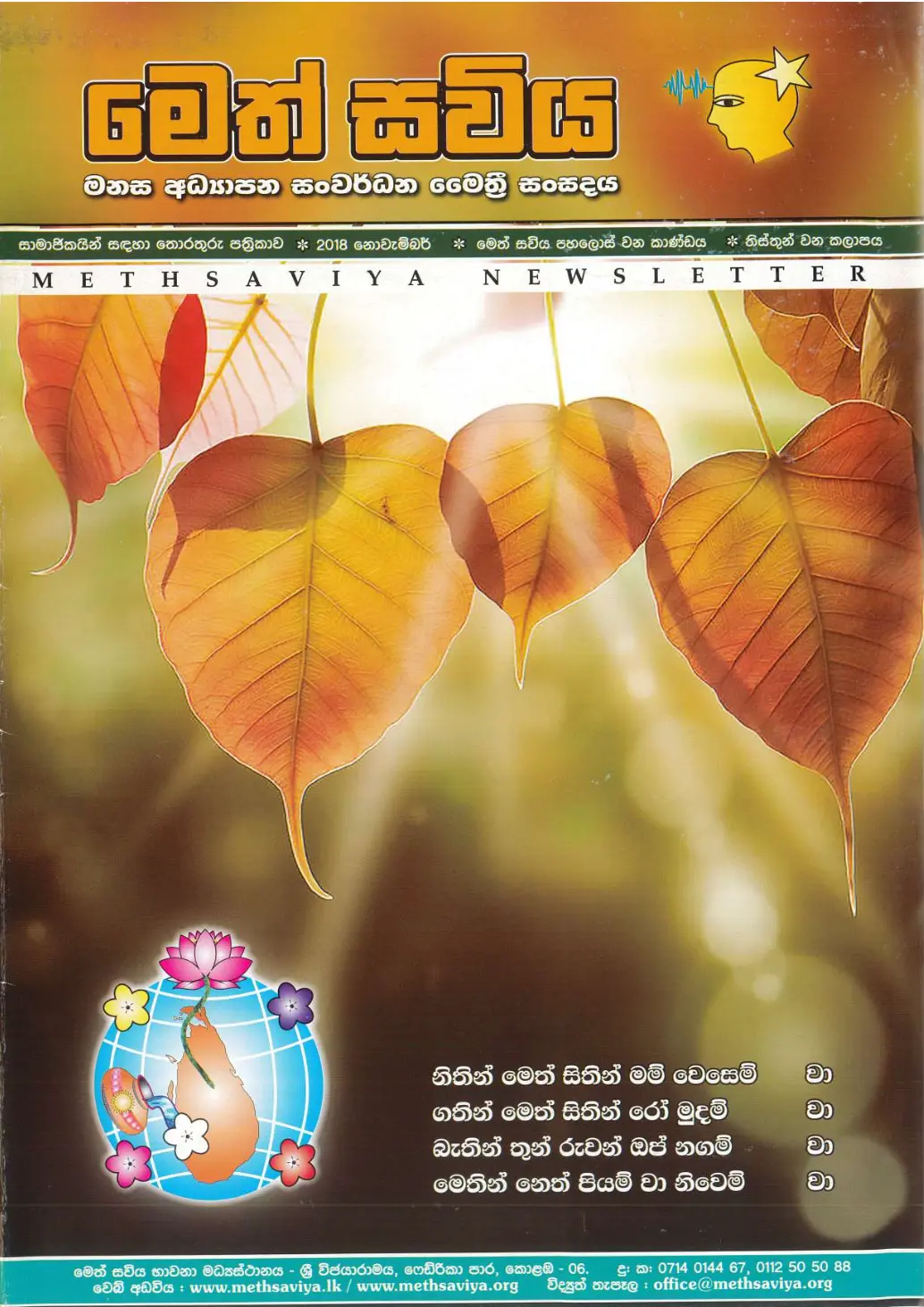 33. magazive-cover
